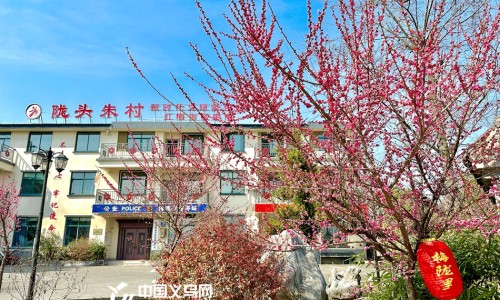 九个月胎儿一般多少斤正常-【胎儿九个月出生正常吗】九个月胎儿男宝宝图片真实 - 九个月胎儿男宝宝图片网